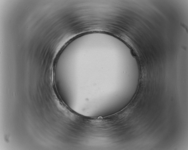 X0000103301132200809122024