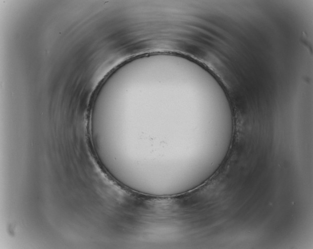 X0000103301134200809122024