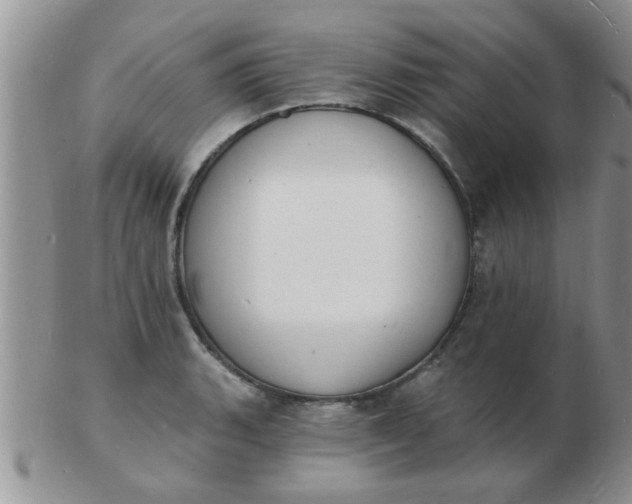 X0000103301135200809122024