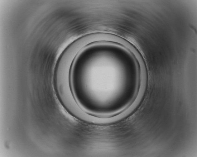 X0000103301136200809122024