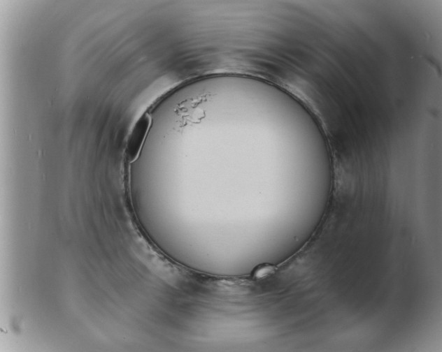 X0000103301138200809122024