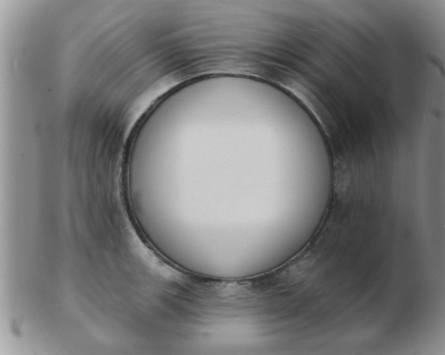 X0000103301139200809122024