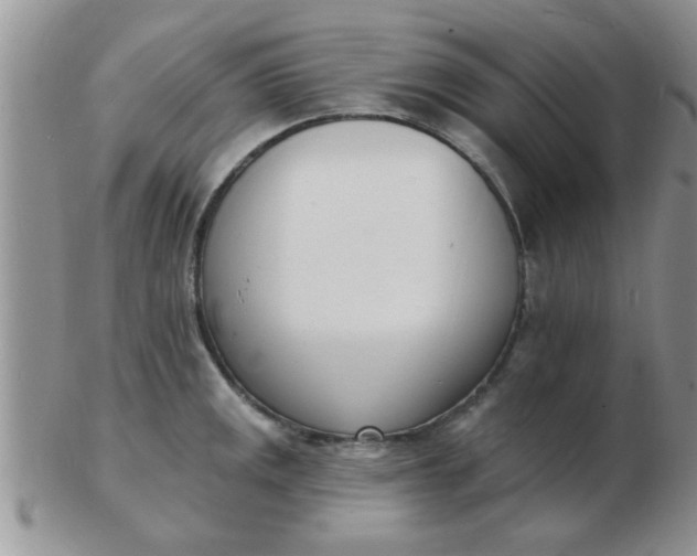 X0000103301141200809122024