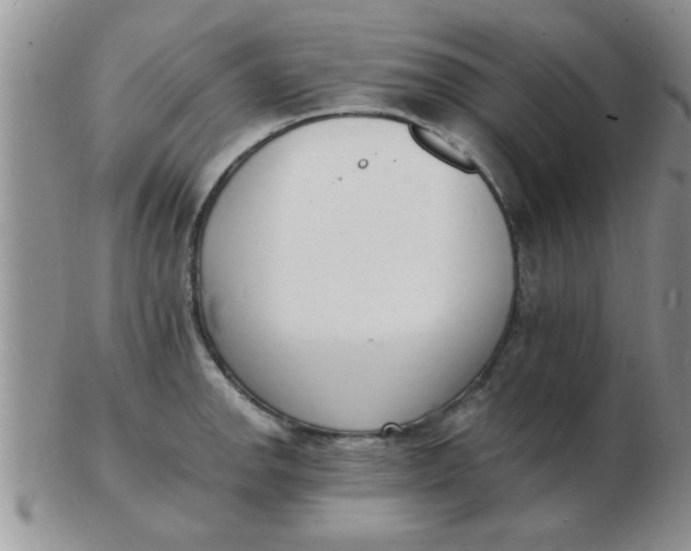 X0000103301142200809122024