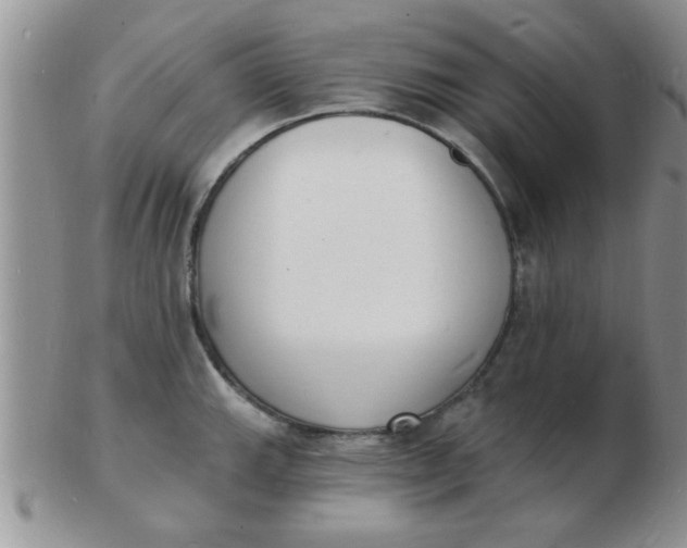 X0000103301143200809122024