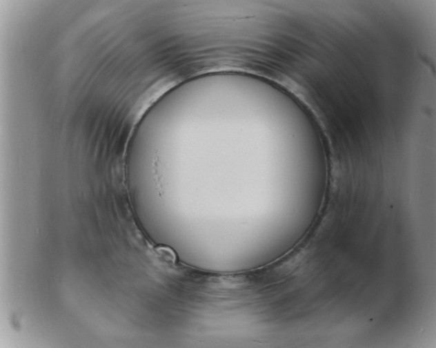 X0000103301145200809122024