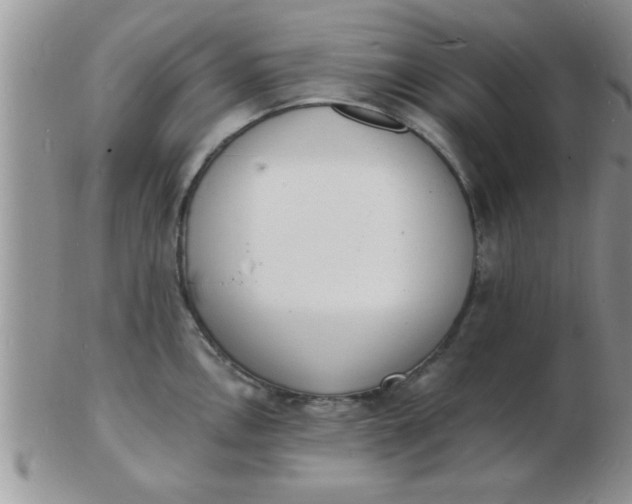 X0000103301146200809122024