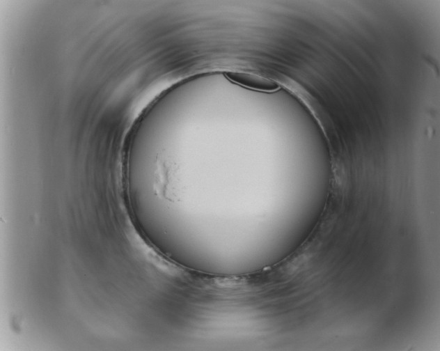 X0000103301147200809122024