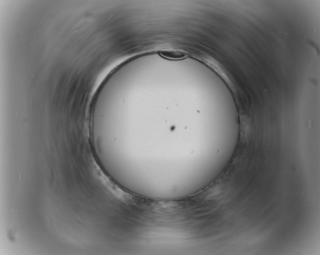 X0000103301148200809122024