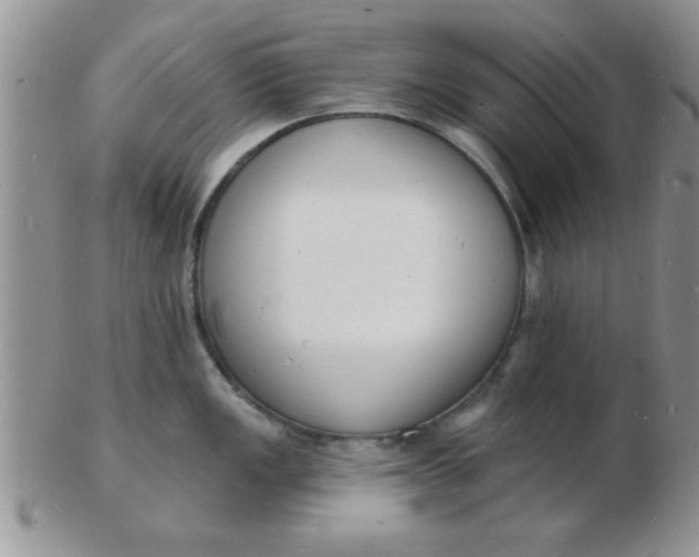 X0000103301149200809122024