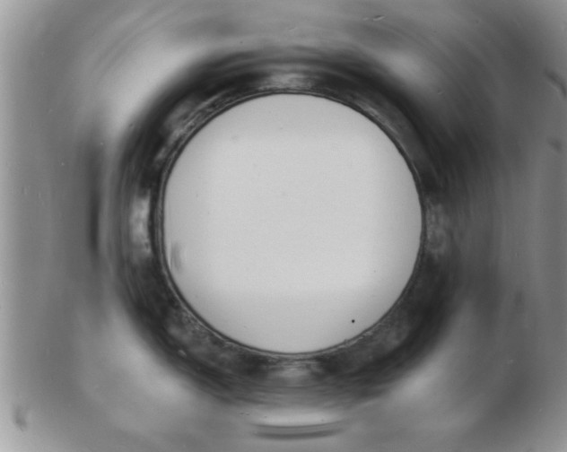 X0000103301150200809122024