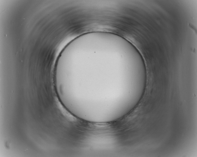 X0000103301152200809122024