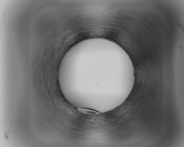 X0000103301153200809122023