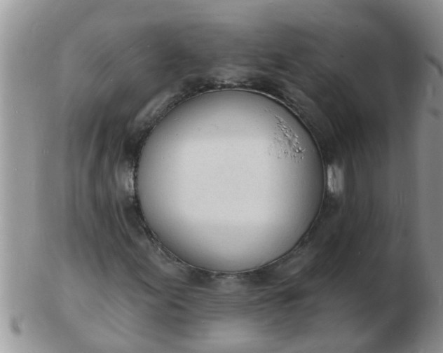 X0000103301155200809122023