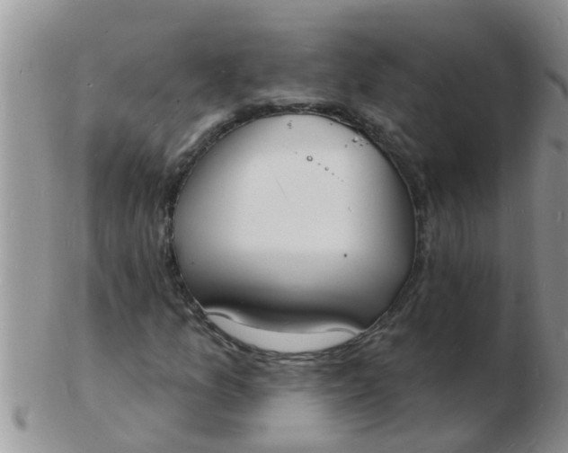 X0000103301157200809122023