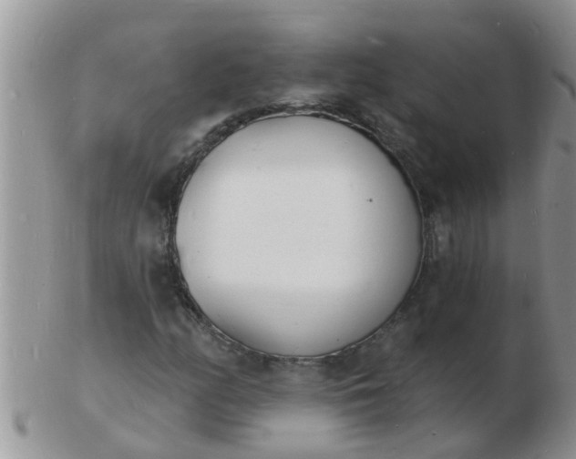 X0000103301158200809122023