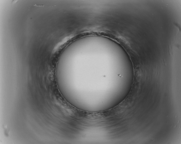 X0000103301159200809122023