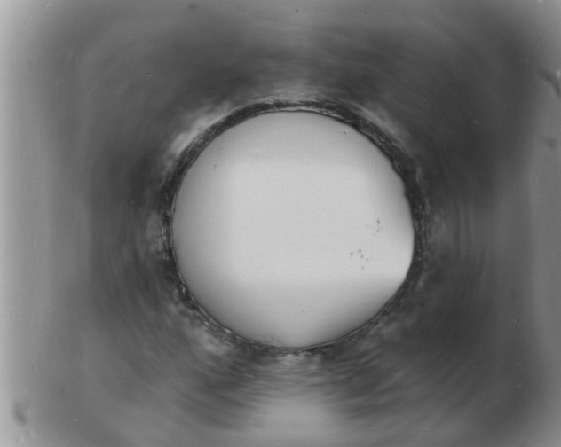 X0000103301160200809122023