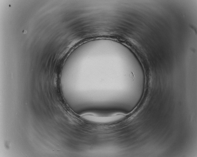 X0000103301161200809122023