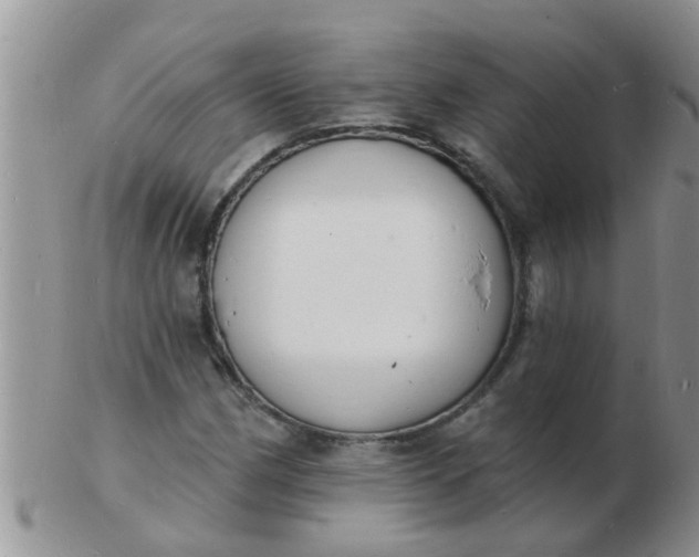 X0000103301162200809122023