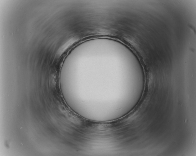 X0000103301163200809122023