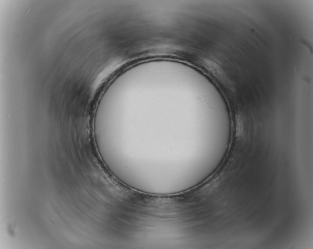 X0000103301164200809122023