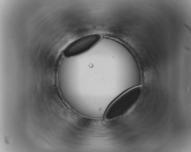 X0000103301165200809122023