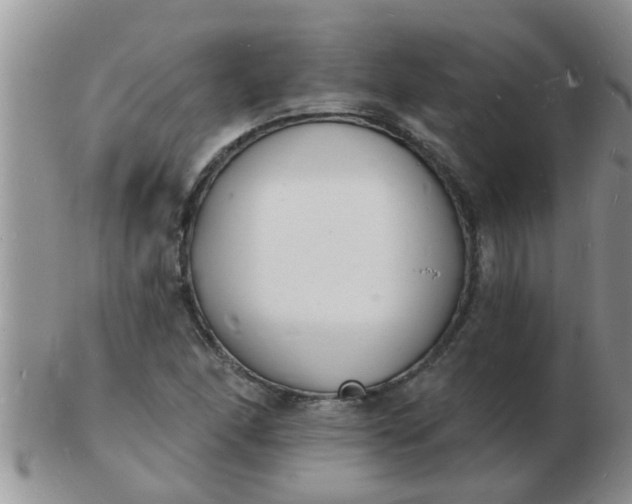 X0000103301166200809122023