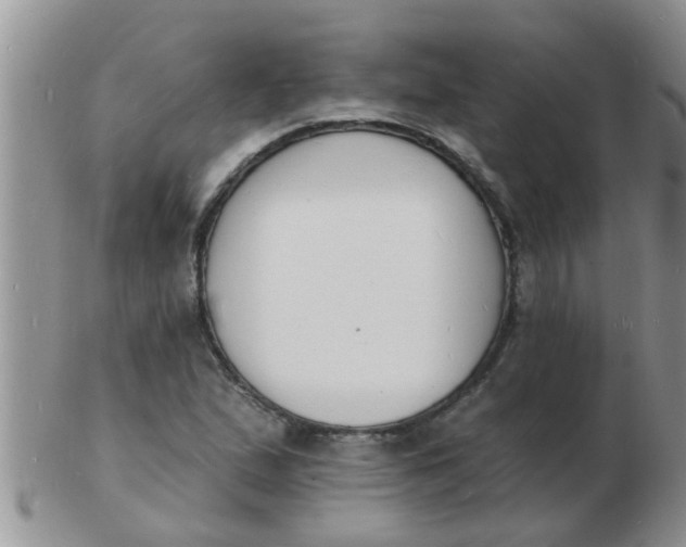 X0000103301167200809122023