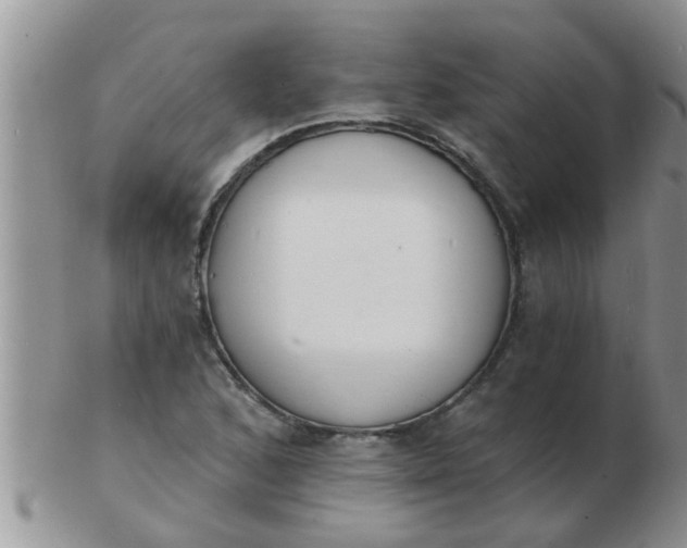 X0000103301168200809122023