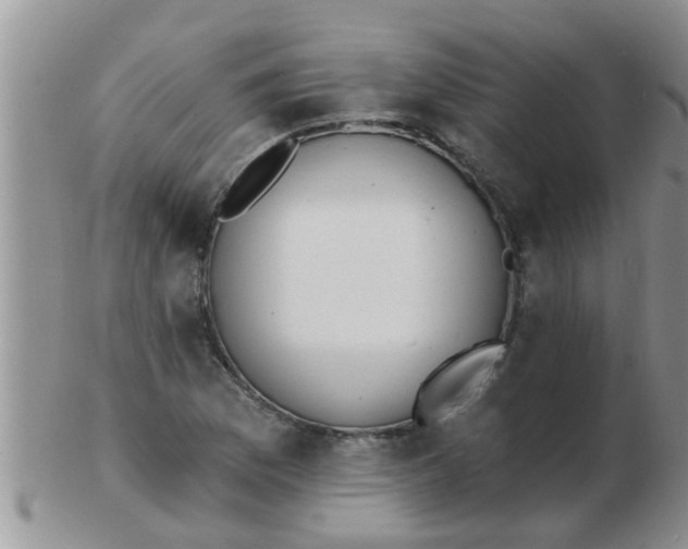 X0000103301169200809122023