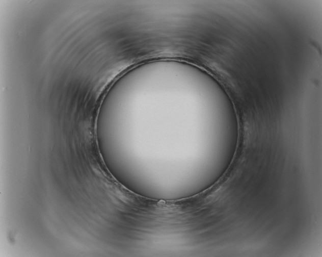 X0000103301170200809122023