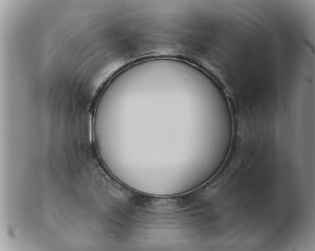 X0000103301171200809122023