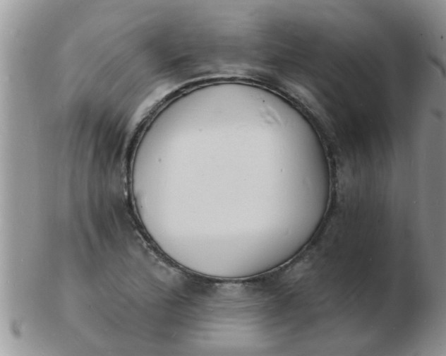 X0000103301172200809122023