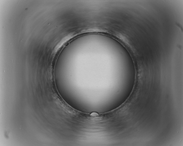 X0000103301173200809122023