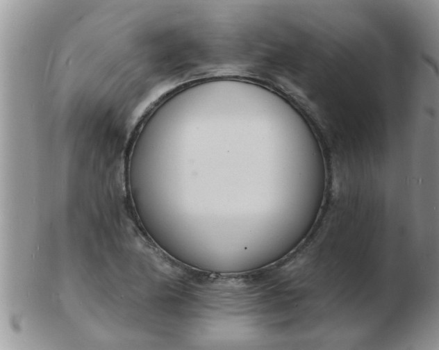 X0000103301174200809122023