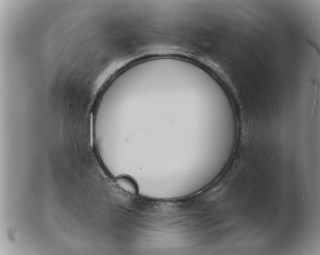 X0000103301175200809122023