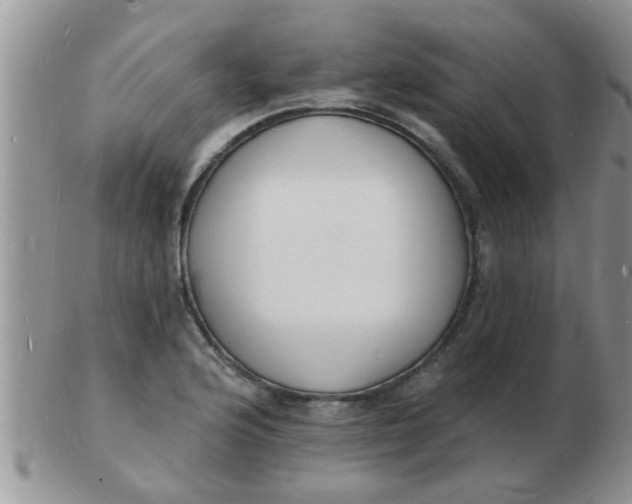 X0000103301176200809122023