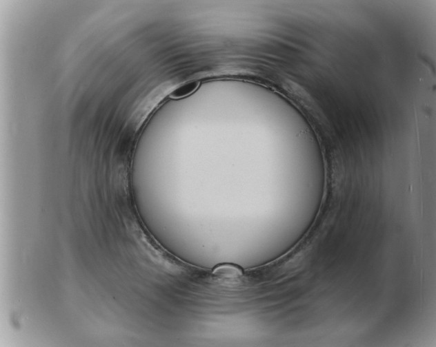 X0000103301177200809122023