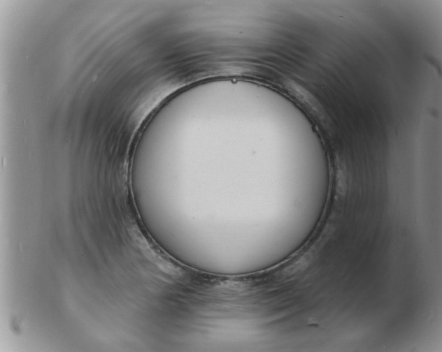 X0000103301178200809122023