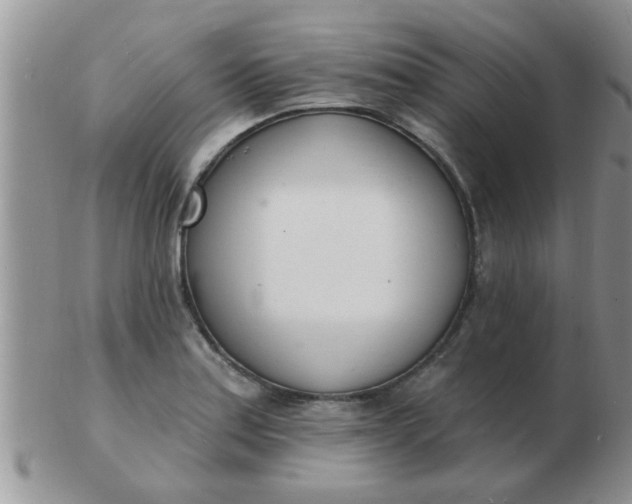 X0000103301179200809122023