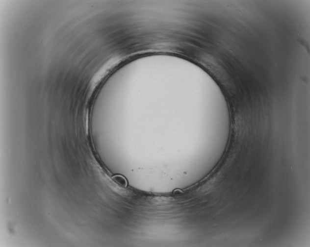 X0000103301180200809122023