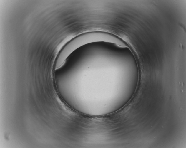 X0000103301181200809122023