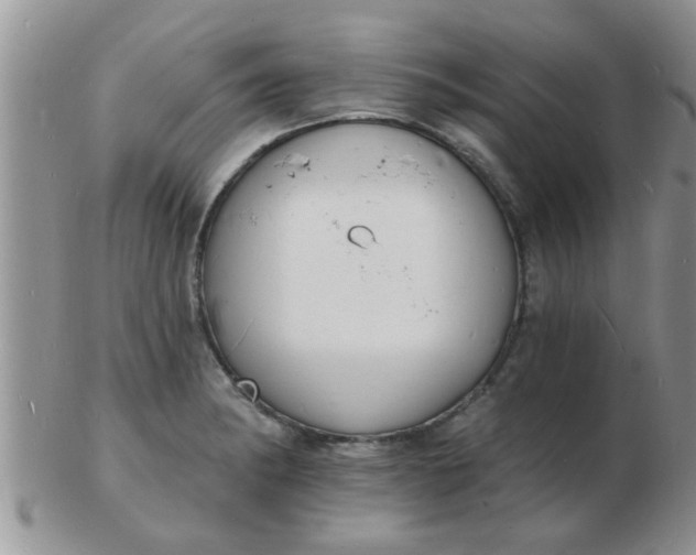 X0000103301182200809122023