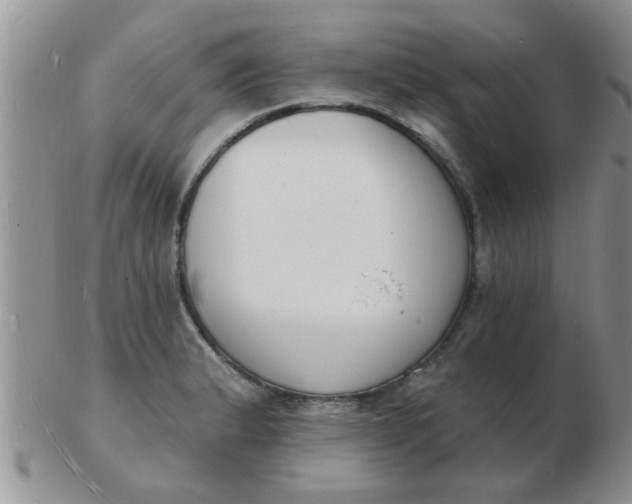 X0000103301183200809122023