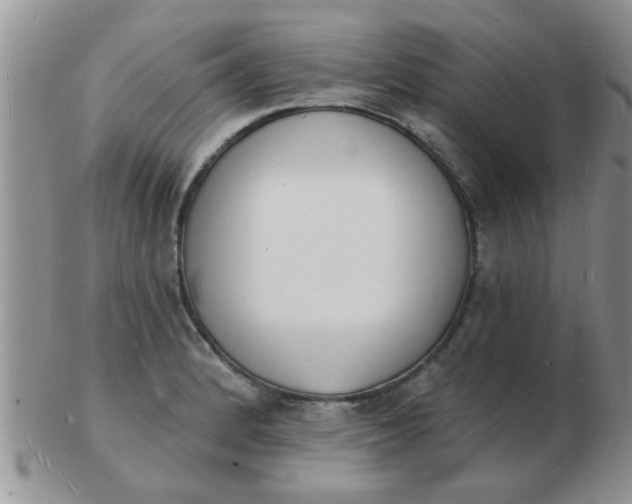 X0000103301184200809122023