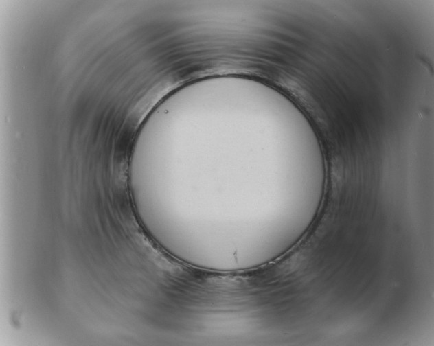 X0000103301185200809122023