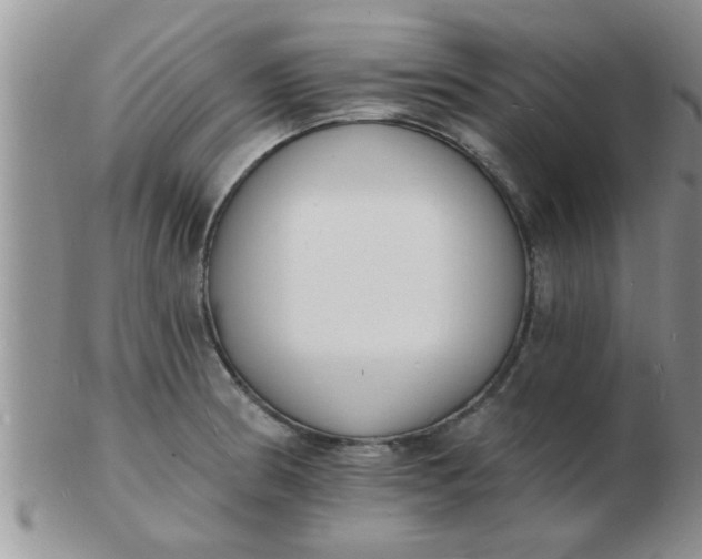 X0000103301186200809122023