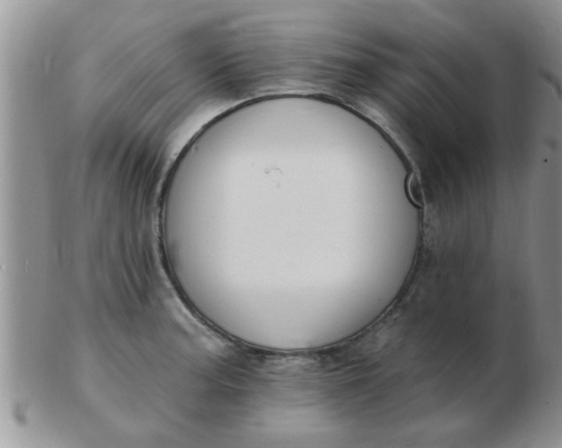 X0000103301187200809122023