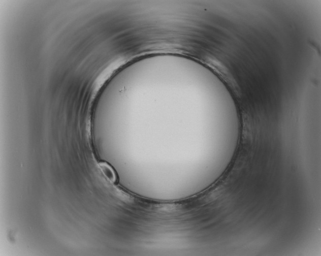 X0000103301188200809122023